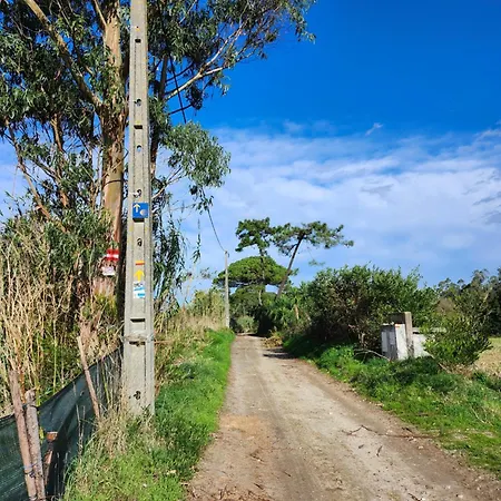 Salgueira Pilgrim's Rest Habitación en casa particular